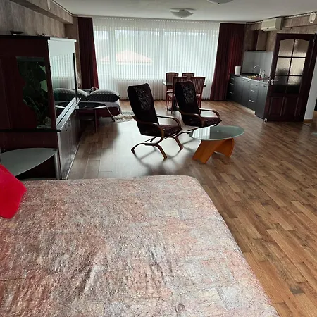 Baskervilu Muiza Hotel