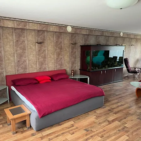 Baskervilu Muiza Hotel