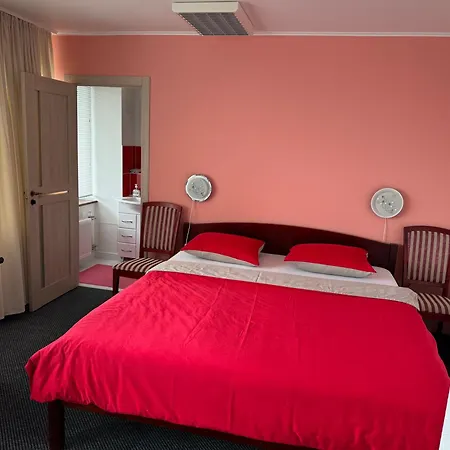 Hotel Baskervilu Muiza