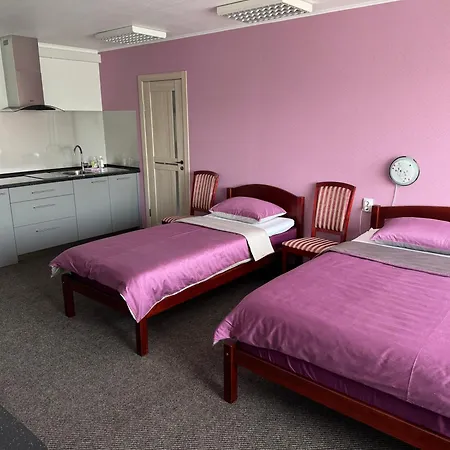 Baskervilu Muiza Hotel *